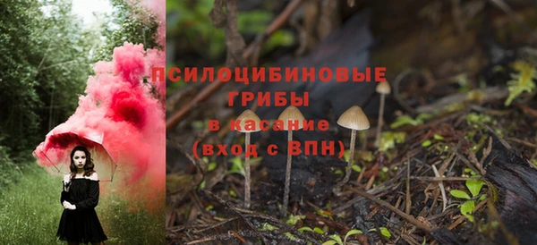 МДПВ Алексеевка