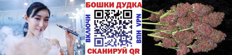 Конопля планчик  Купить где  Королёв 